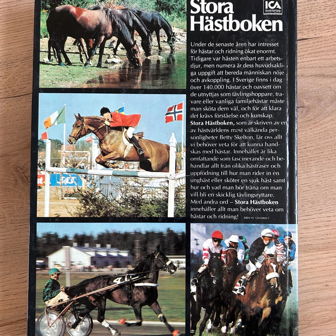 Stora Hästboken - 2