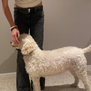 Supersnygga Gina jeans - Supersnygga Gina tricot jeans i toppform!🌸 