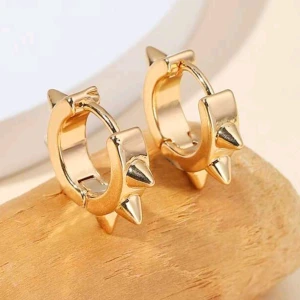 Taggörhängen - Rostfritt stål, snygga taggörhängen  helt nya ❌️TRYCK INTE PÅ KÖP❌️ skriv innan,pris kan diskuteras