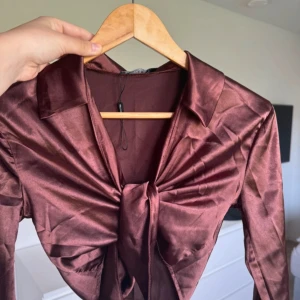 Brun croppad satintopp med knyt - Säljer en brun croppad satintopp med lång ärm och snygg knytning framtill. Toppen har klassisk krage och glansigt material som ger en lyxig känsla. Perfekt att styla med höga jeans eller kjol.