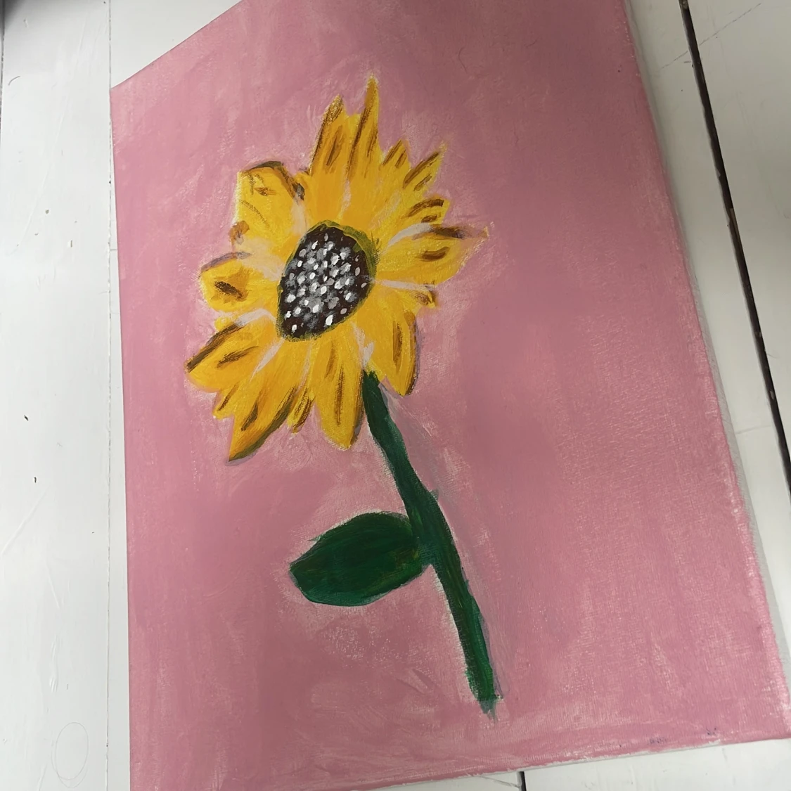 Solros på rosa bakgrund - 1