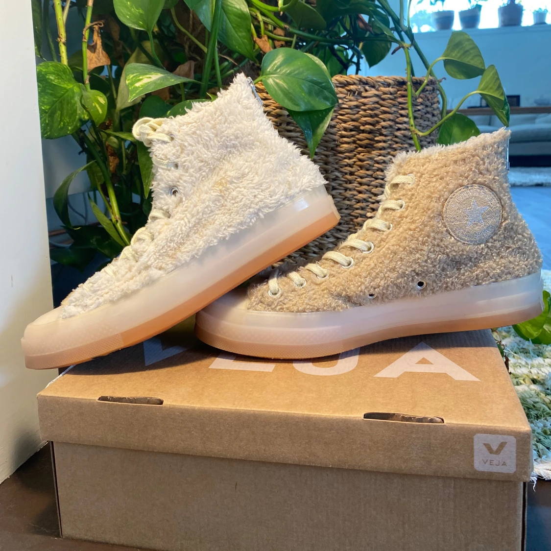 Converse Chuck Taylor x Clot Teddy