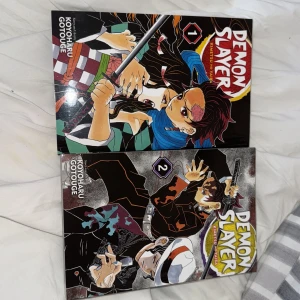 Demon slayer volume 1-2 - Demon slayer volume 1-2 helt nya