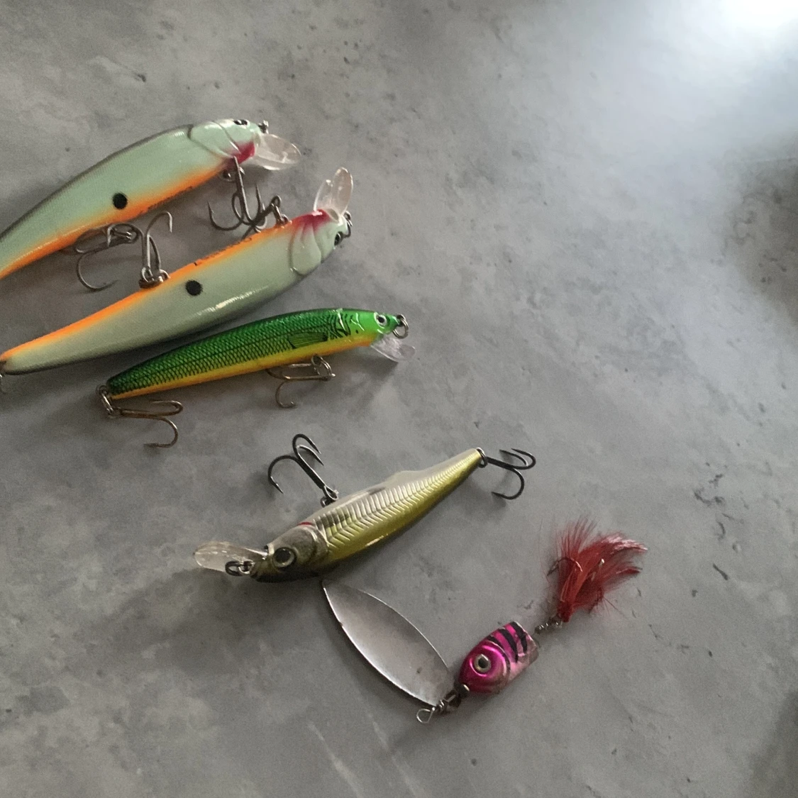 Transparent plastask för beten - 3