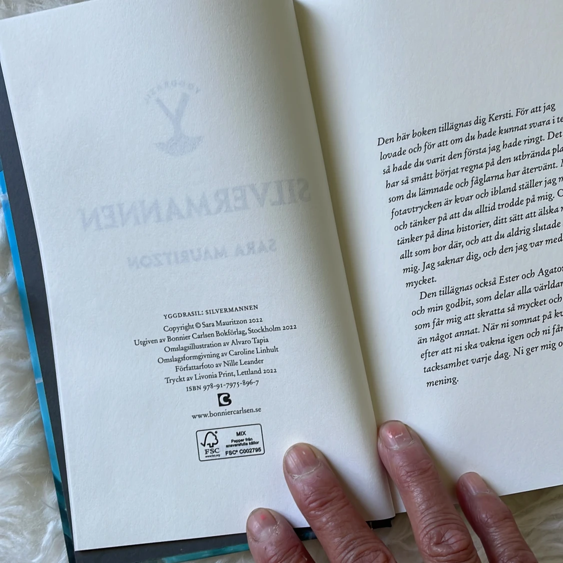 Yggdrasil: Silvermannen - 2