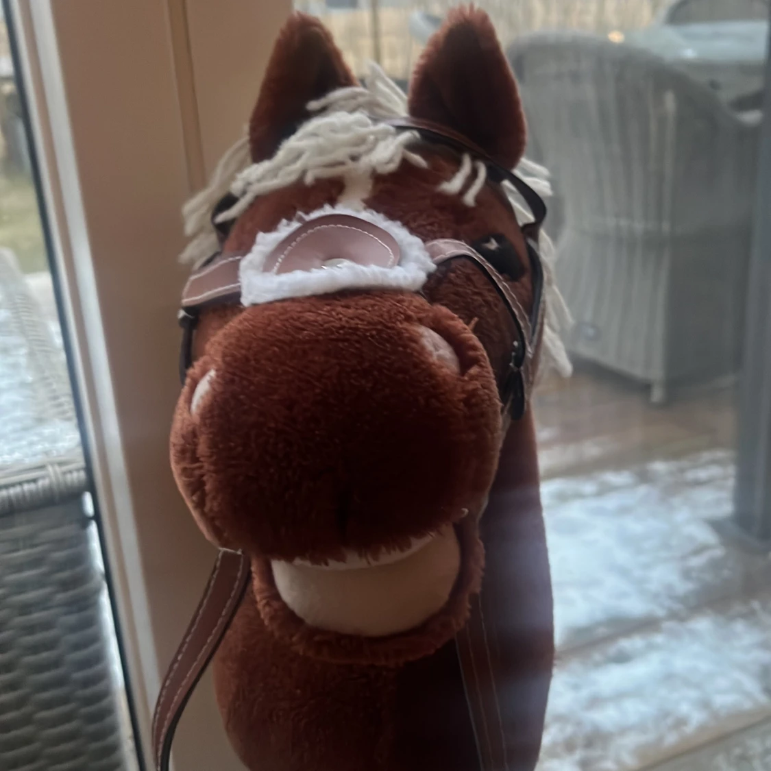 Brun käpphäst med vit man - 1