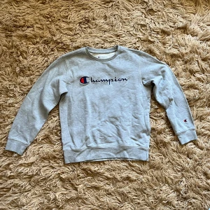 Grå sweatshirt från Champion - Säljer en grå sweatshirt från Champion, i fint skick.