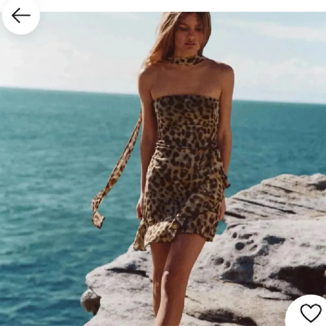 Leopardmönstrad kortklänning