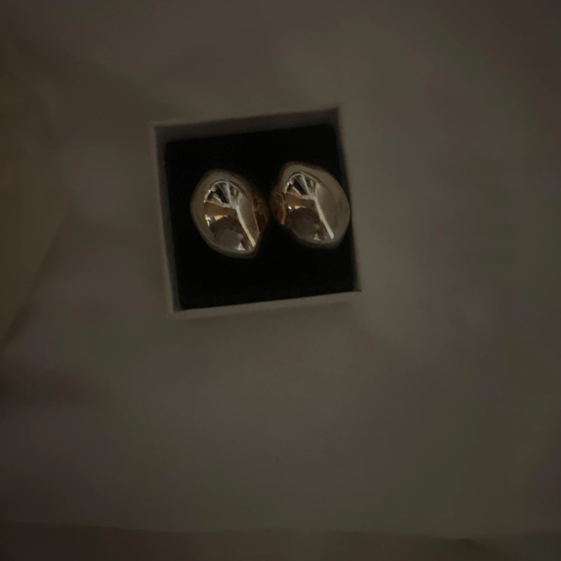 tjockare hops örhängen silver - 1