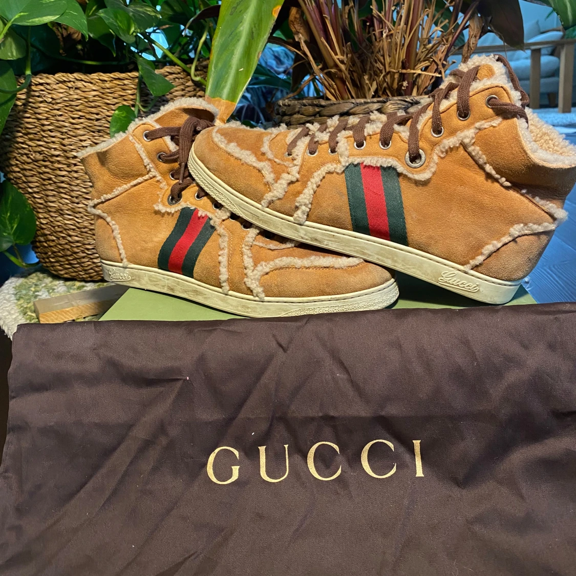 Gucci Hi-Top Teddy Sneakers Brown - 1