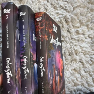 Ödesryttarna - Star Stable - Bokserie om fyra ödesryttare och deras magiska äventyr på ön Jorvik. Följ Lisa, Anne, Linda och Alex när de möter faror och upptäcker hemligheter. Perfekt för fans av äventyr och magi.