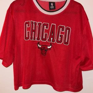Röd Chicago Bulls meshtröja från UNK - Säljer en röd meshtröja med Chicago Bulls-logga på framsidan. Tröjan har en sportig look med korta ärmar och rund halsringning. Perfekt till sommaren🤩💕 märke är Forever 21 X NBA