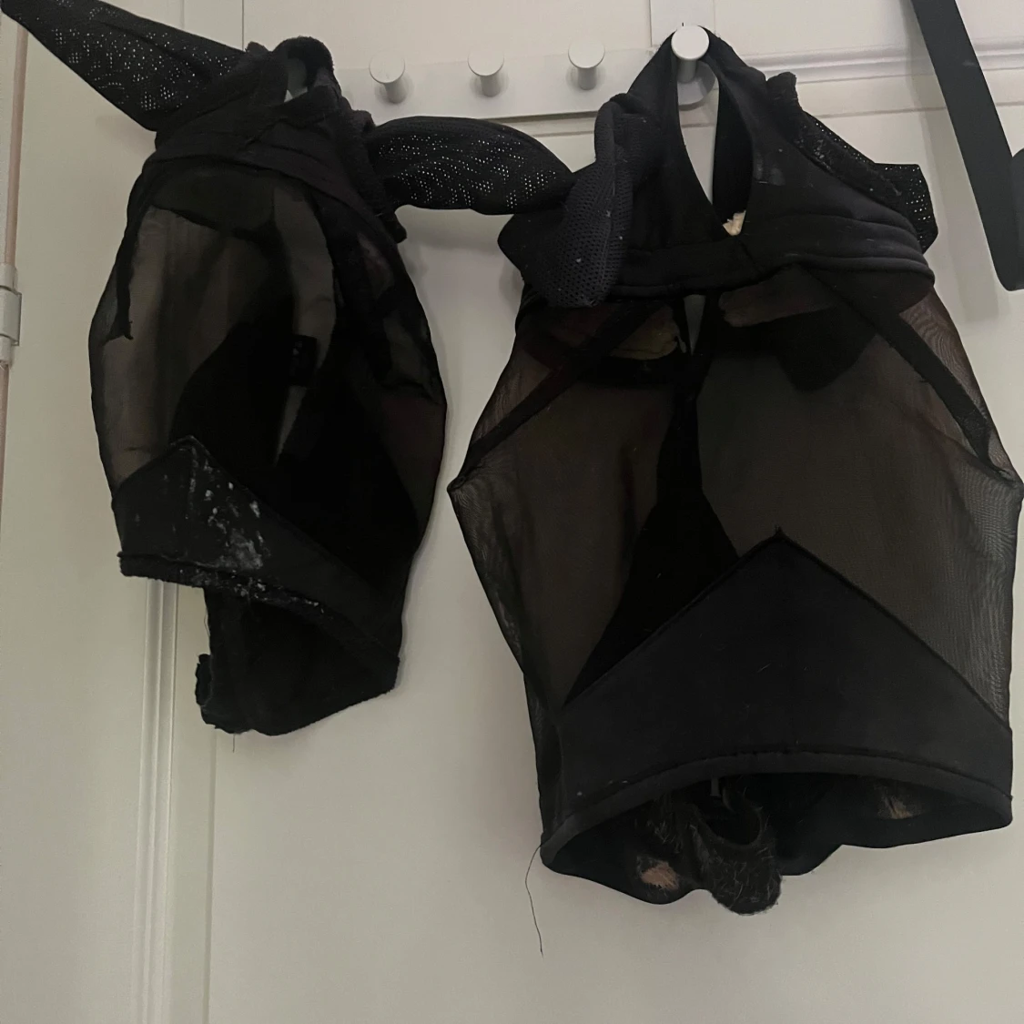  Hästutrustning som är både säkert och snyggt💗 - 2