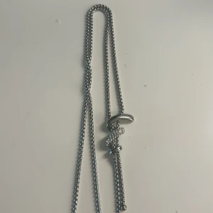 Silver halsband - Silver halsband, aldrig använd. Vet ej märke. Men köpt på en kryssning 