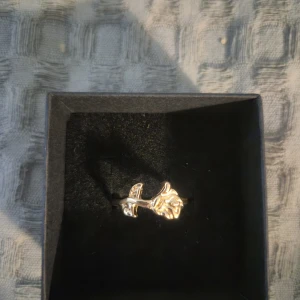 Guld ring  - PRISET GÄLLER ENDAST VID KÖP AV BUNDLE MED SMYCKEN ÖVER 50 KR!!! GRATIS GÅVA MED VARGE ORDER!! Supertrendig stockholmsstil tjejer, ring guld. Gjord av stål, jag svarar och skickar alltid snabbt!