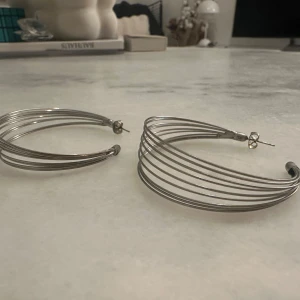 Silvriga örhängen i flera lager - Snygga silvriga örhängen med flera lager av tunna ringar som ger en modern och stilren look. Perfekta för att lyfta vilken outfit som helst.