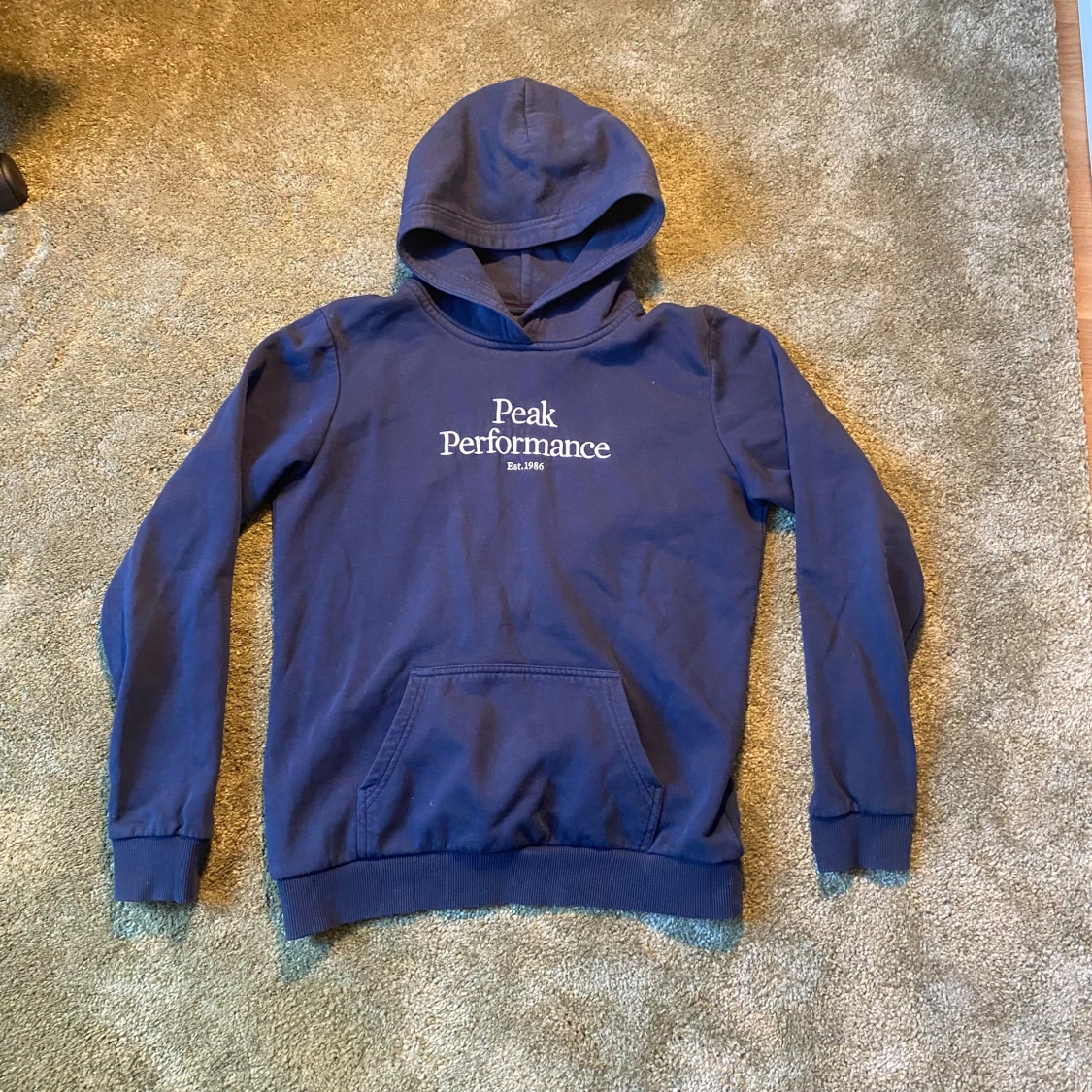 Peak Performance Hoodie