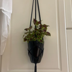 Svart ampel - En enkel svart ampel (utan kruka), passar till kruka med övre diameter 13-15 cm, längd 60-65 cm 