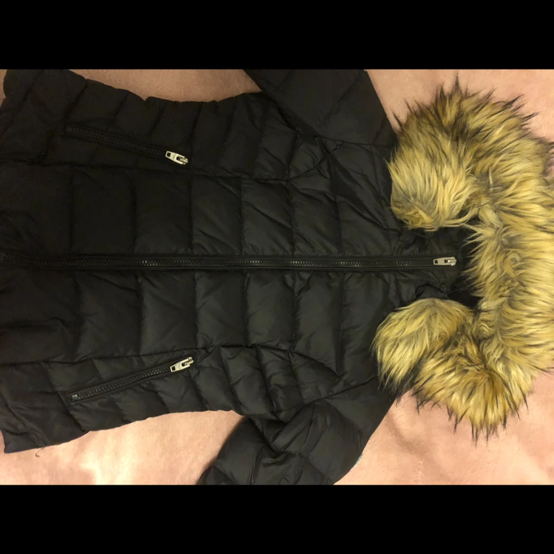 Rock and blue jacket, form fitting