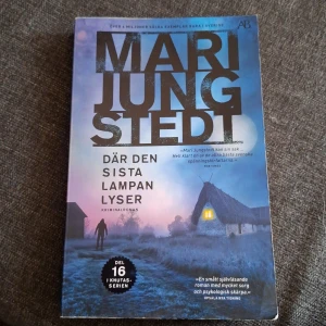 Där den sista lampan lyser - En spännande kriminalroman om två pojkar som försvinner på Gotland.  Del 16 i Knutas-serien men går läsa utan att har läst dom andra.