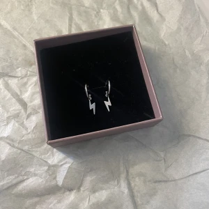 Blixt örhängen - Säljer dessa blixt superfina blixtörhängen från Edblad. Aldrig använda. Nypris 299kr mitt 200 + frakt.