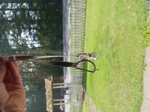 Ett träns! - Tyg bett.