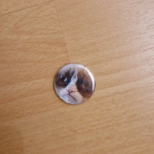 Grumpy Cat pin - Grumpy cat pin, ca 2,5 cm i diameter.  Kan skickas som brev, då blir frakten 15 kr, skriv så fixar vi det! 🥰