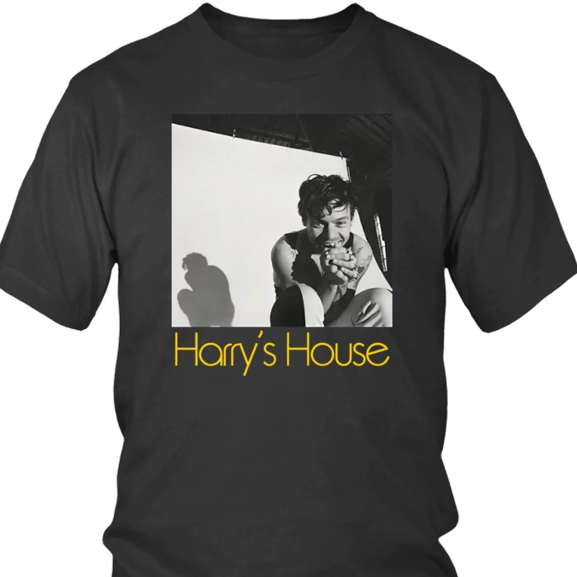 Harry styles merch 