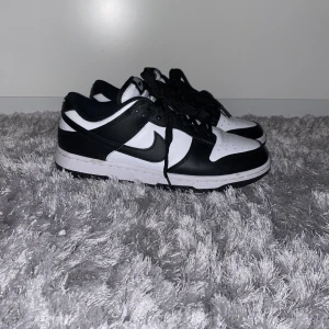 Nike dunk - Använda en gång! Säljer då jag insåg att jag inte behöver ha fler skor.