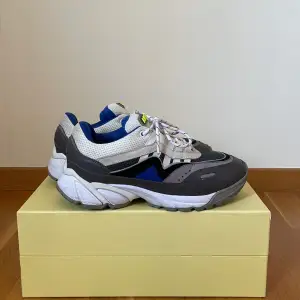 Knappt använda Arigato skor. Skorna har färgerna blå, svart, vitt, grått och neongult med en unik sko design. Allt ingår med en Arigato skollåda, skopåse och sushi sticks