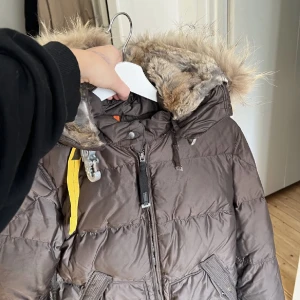 Parajumper longbear - Parajumper longbear Välanvänd  kemtvättas innan