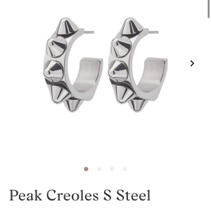 Edblad örhängen  - Edblad örhängen 399kr helt nyskick använt fåtal gånger och inga defekter❤️säljer för jag är guld människa❤️