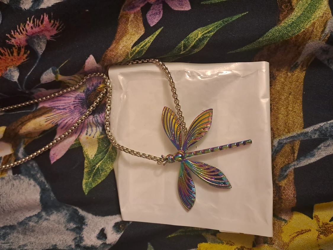 Rainbow shine dragon fly necklace