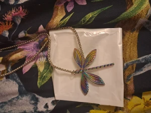 Rainbow shine dragon fly necklace - En regnbågig dragonfluga med silvrig kedja och glans aldrig använt💓