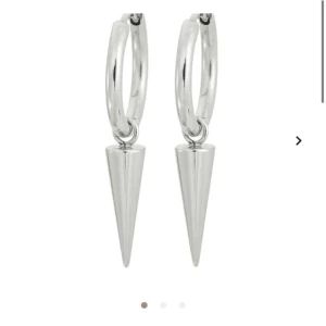 Edblad örhängen - Aldrig använda💓 skriv för egna bilder, pris går o diskutera 