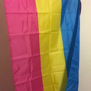 Pansexuell flagga - Inga fel