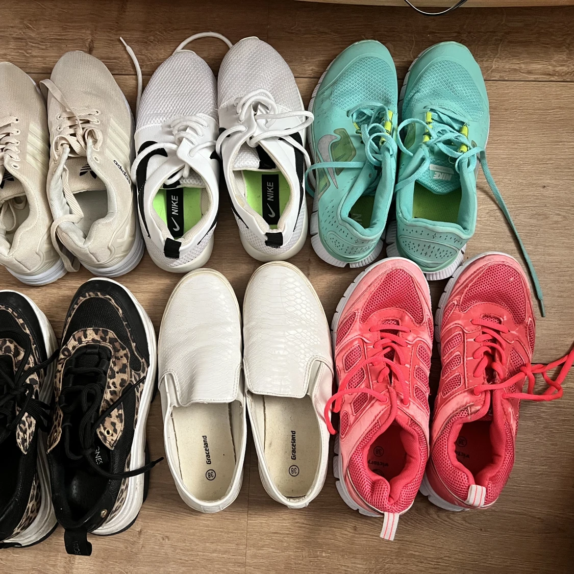 Skor dojor löparskor leopard turkos neonrosa neon  - 91