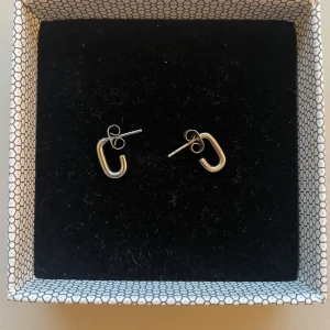 Örhängen  - Fina örhängen från Edblad 🤍