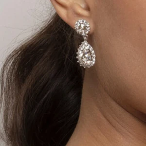Lilly & Rose örhängen  - Silver med ”diamant” stenar. Knappt använda, inga defekter. 🩷