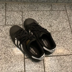 Adidas superstar  - Adidas superstar 