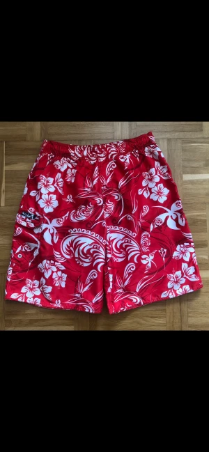 Shorts  - Quicksilver