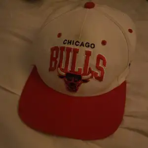 Chicago bulls cap