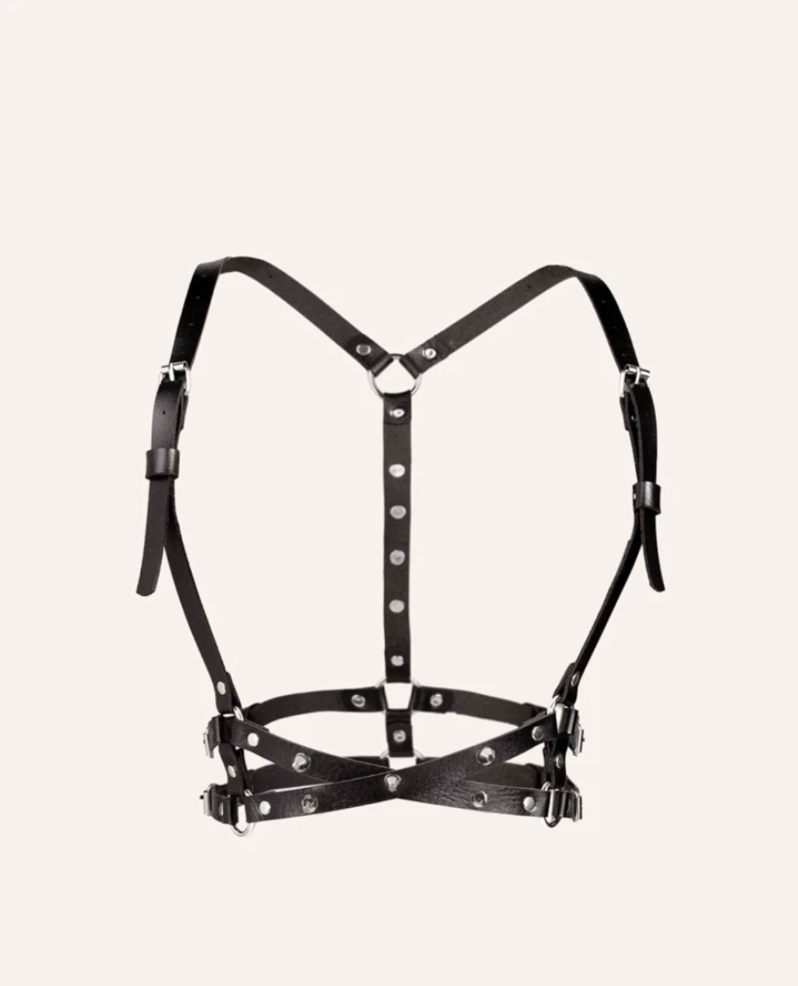 Harness