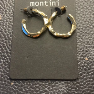 Örhängen  - Aldrig använda och fick det i en musteribox!❣️ Köparen står för frakten!