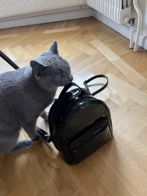 Ryggsäck  - Miniryggsäck i lackat material 