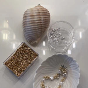 Smycken  - Ines armband! 🐚🌟 Enkelt armband som passar till allt! Beställ via dm eller här!☺️