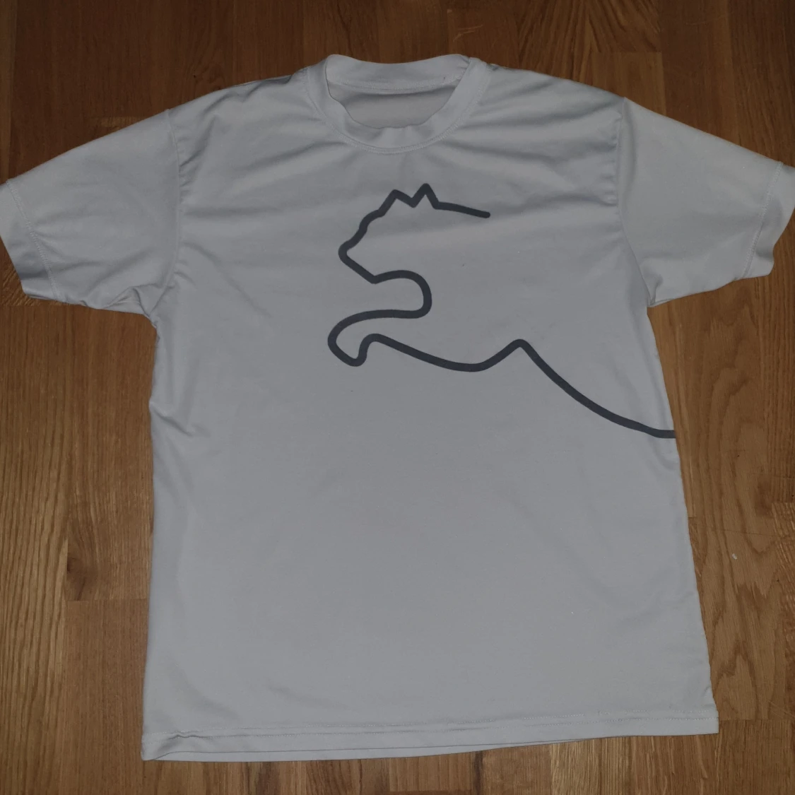 Storlek L mem passae M