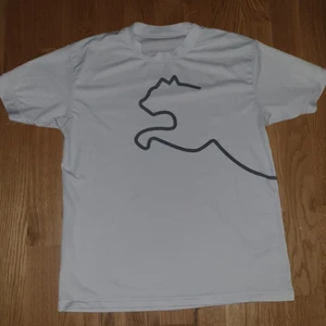 Storlek L mem passae M - Gym tröja