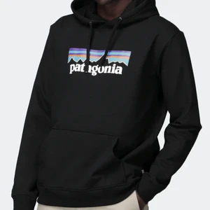 Patagonia hoddie  - Superfin hoddie från patagonia. Använd, men i bra skick! Nypris är 999 kr