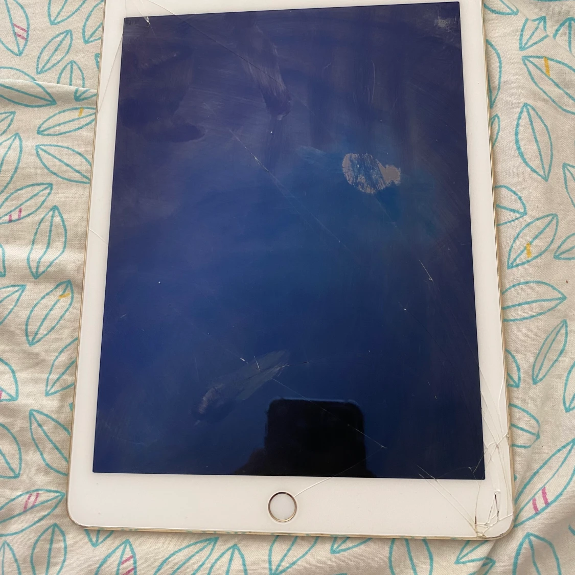 ✨iPad Air2 ✨